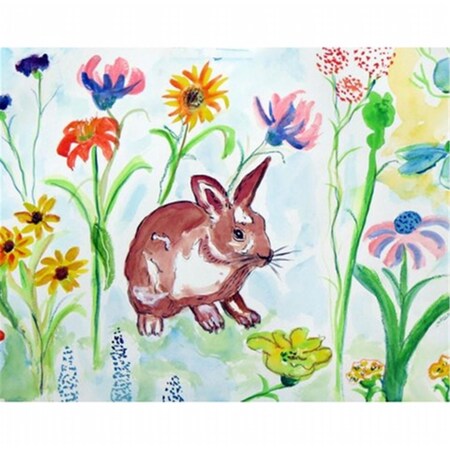 Betsy Drake Whiskers Place Mat, 4PK PM428